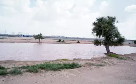 Ponds are the lifeline of Rajasthan: Adani Foundation helps restore water bodies in Jaisalmer