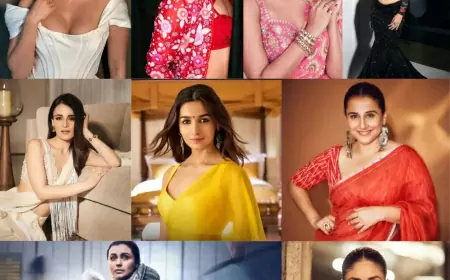 Shining Stars: Best Impactful Performances of 2023 in Bollywood