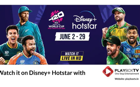 PlayboxTV Introduces T20 Dhamaka: 20 OTTs at an Affordable Price